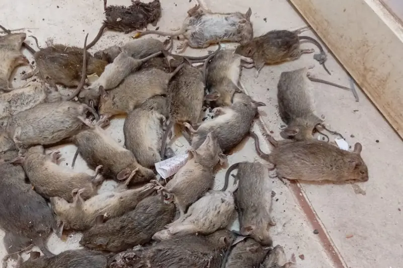 060B1765 06Bc 4Bd0 Bf04 C49A0B3889F9