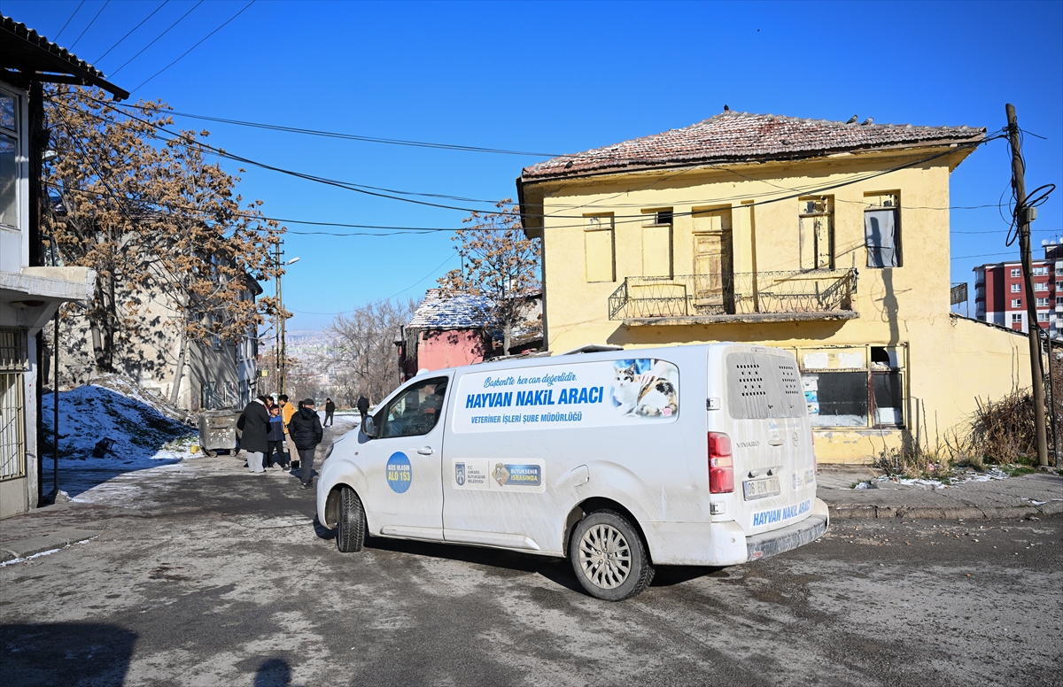 A A 20260102 40141328 40141327 A L T I N D A G D A S A H I P S I Z K O P E K L E R I N S A L D I R D I G I C O C U G U N T E D A V I S I S U R U Y O R