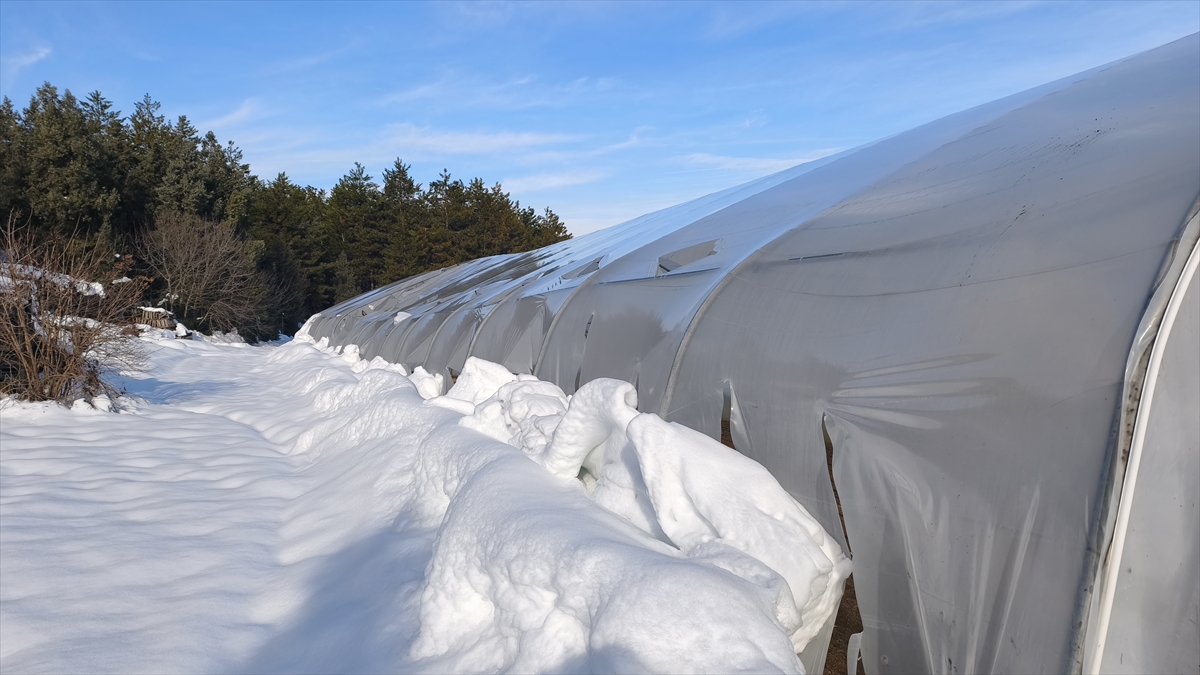 A A 20260105 40165920 40165916 K A R A B U K T E K A R Y A G I S I N E D E N I Y L E C O K E N S E R A L A R D A K I U R U N L E R Z A R A R G O R D U