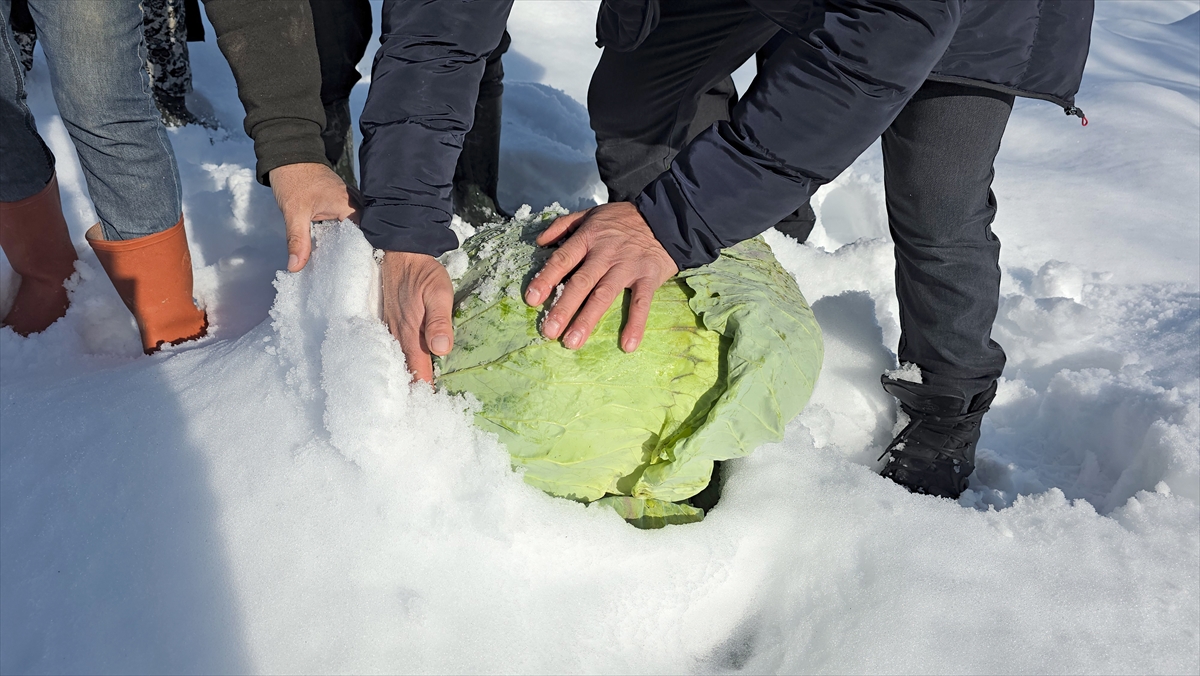 A A 20260107 40186426 40186420 E S K I P A Z A R L A H A N A S I N D A 1250 T O N R E K O L T E B E K L E N I Y O R