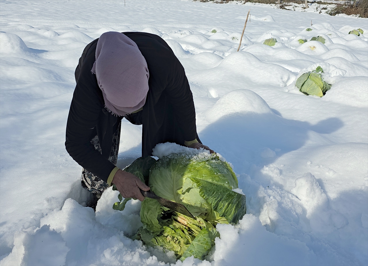 A A 20260107 40186426 40186422 E S K I P A Z A R L A H A N A S I N D A 1250 T O N R E K O L T E B E K L E N I Y O R