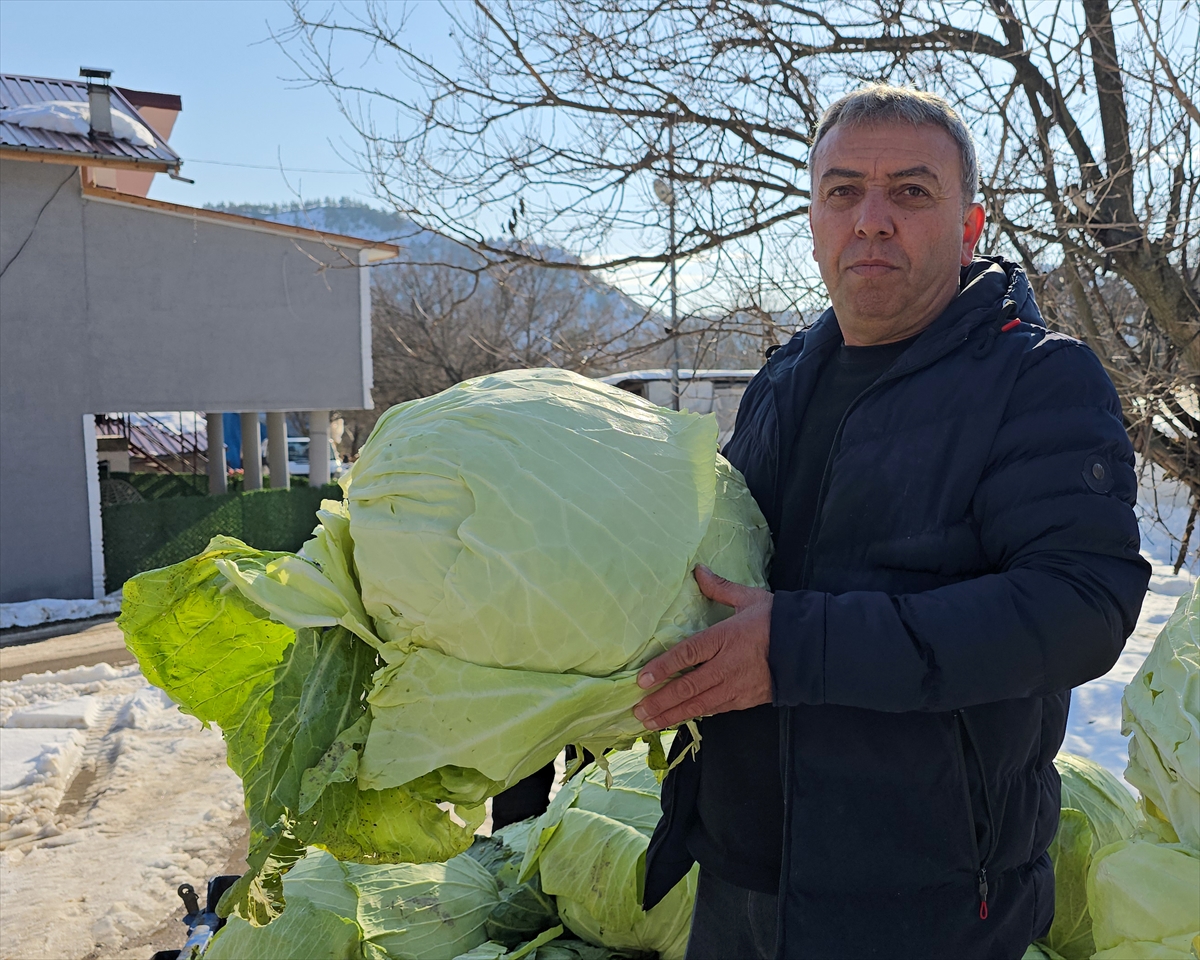 A A 20260107 40186426 40186423 E S K I P A Z A R L A H A N A S I N D A 1250 T O N R E K O L T E B E K L E N I Y O R