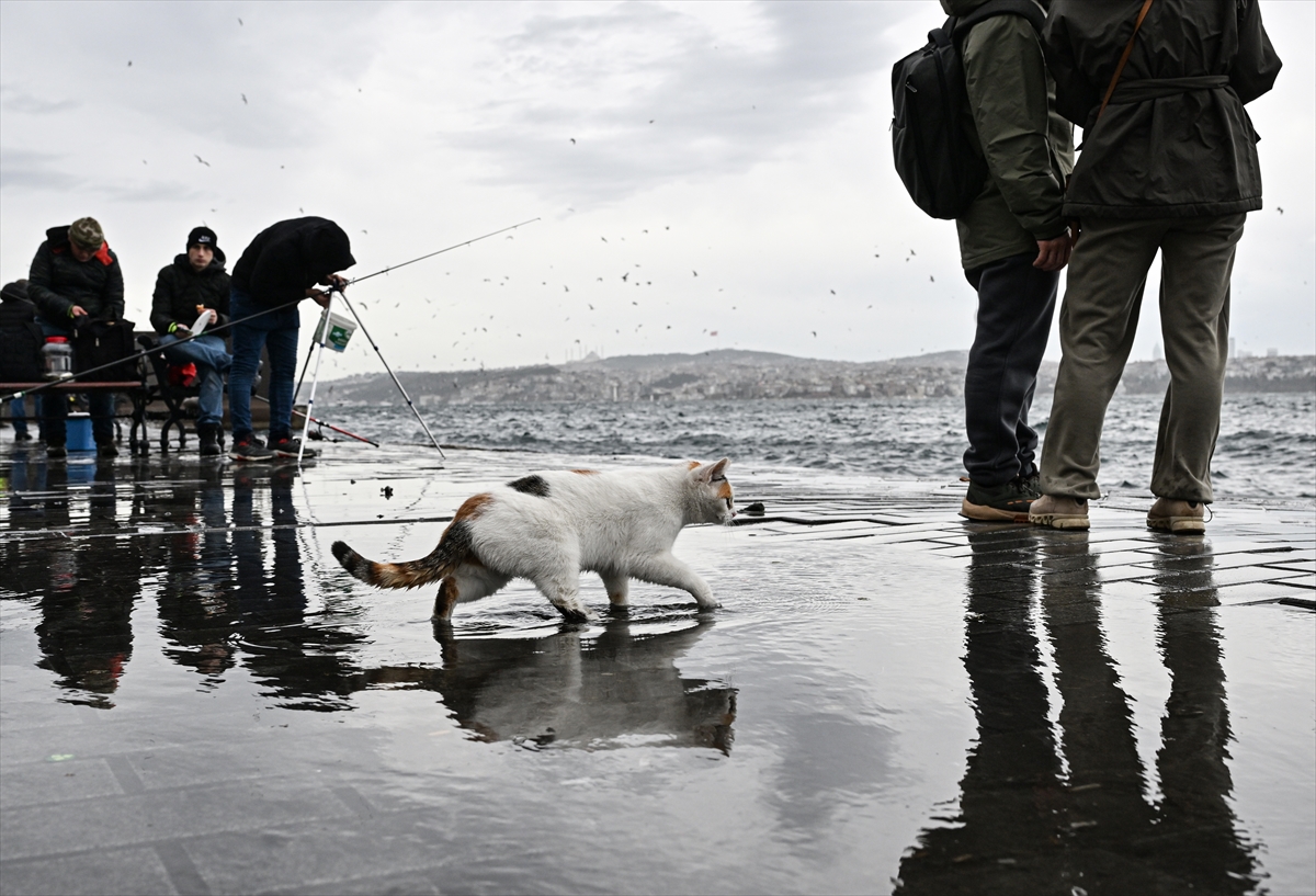 A A 20260108 40198735 40198733 I S T A N B U L D A E T K I L I O L A N S I D D E T L I Y A G I S V E F I R T I N A H A Y A T I O L U M S U Z E T K I L E D I