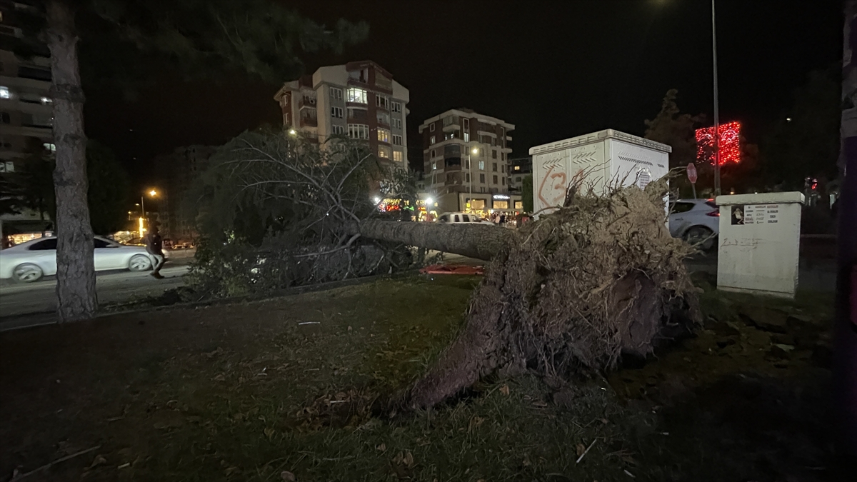 A A 20260108 40199972 40199969 K A Y S E R I D E K U V V E T L I R U Z G A R I N E T K I S I Y L E D E V R I L E N A G A C O T O M O B I L I N U Z E R I N E D U S T U