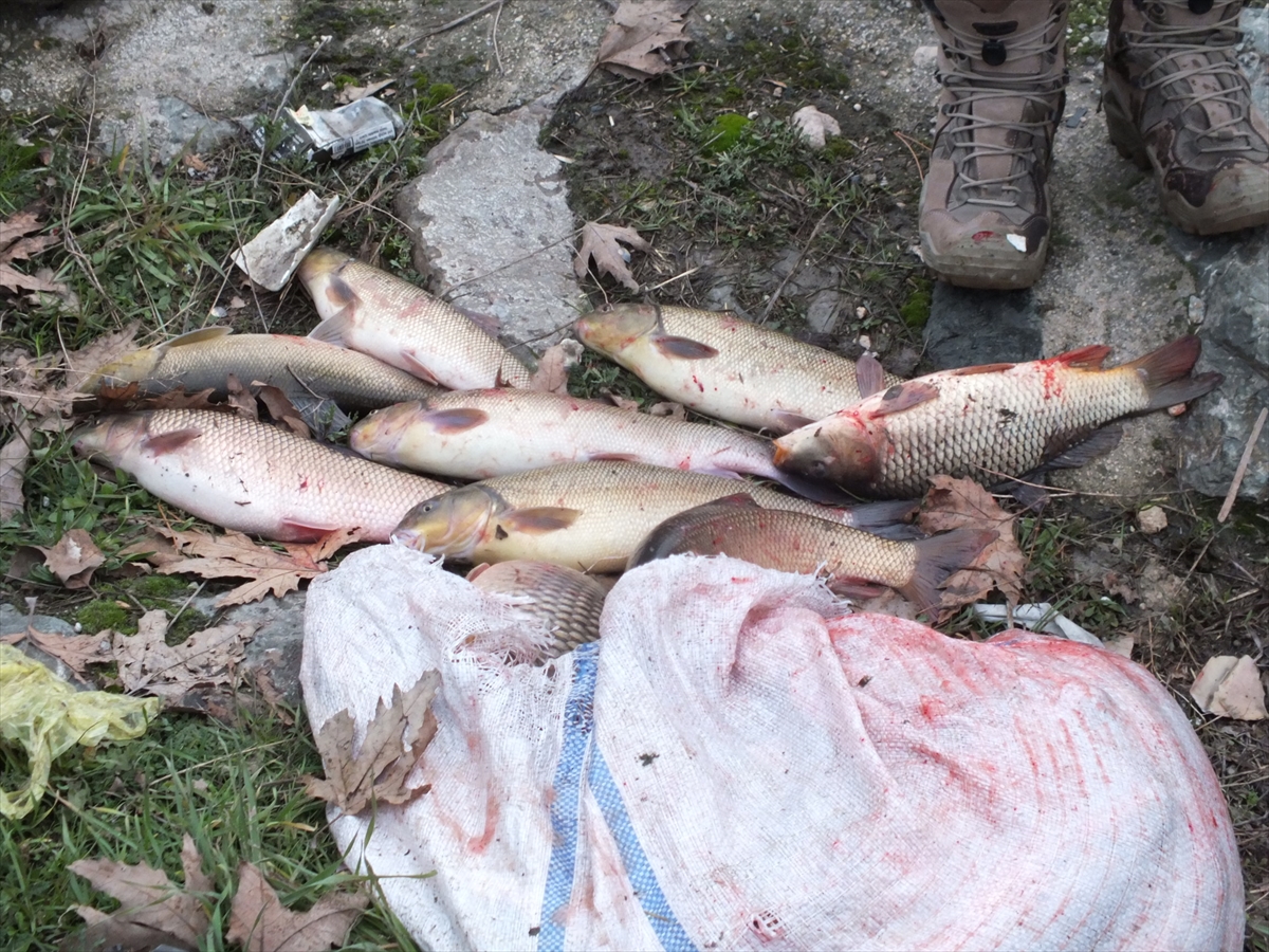 A A 20260109 40209433 40209427 T O K A T T A Y E S I L I R M A K T A C O K S A Y I D A B A L I K K I Y I Y A V U R D U