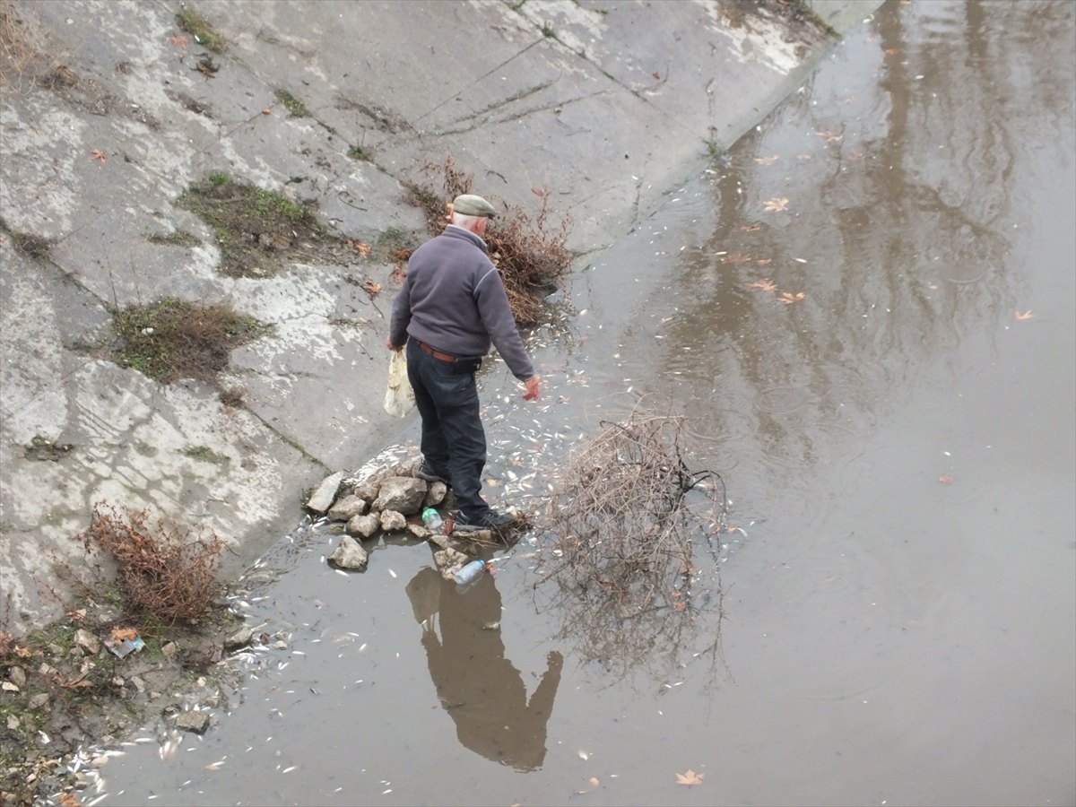 A A 20260109 40209433 40209429 T O K A T T A Y E S I L I R M A K T A C O K S A Y I D A B A L I K K I Y I Y A V U R D U