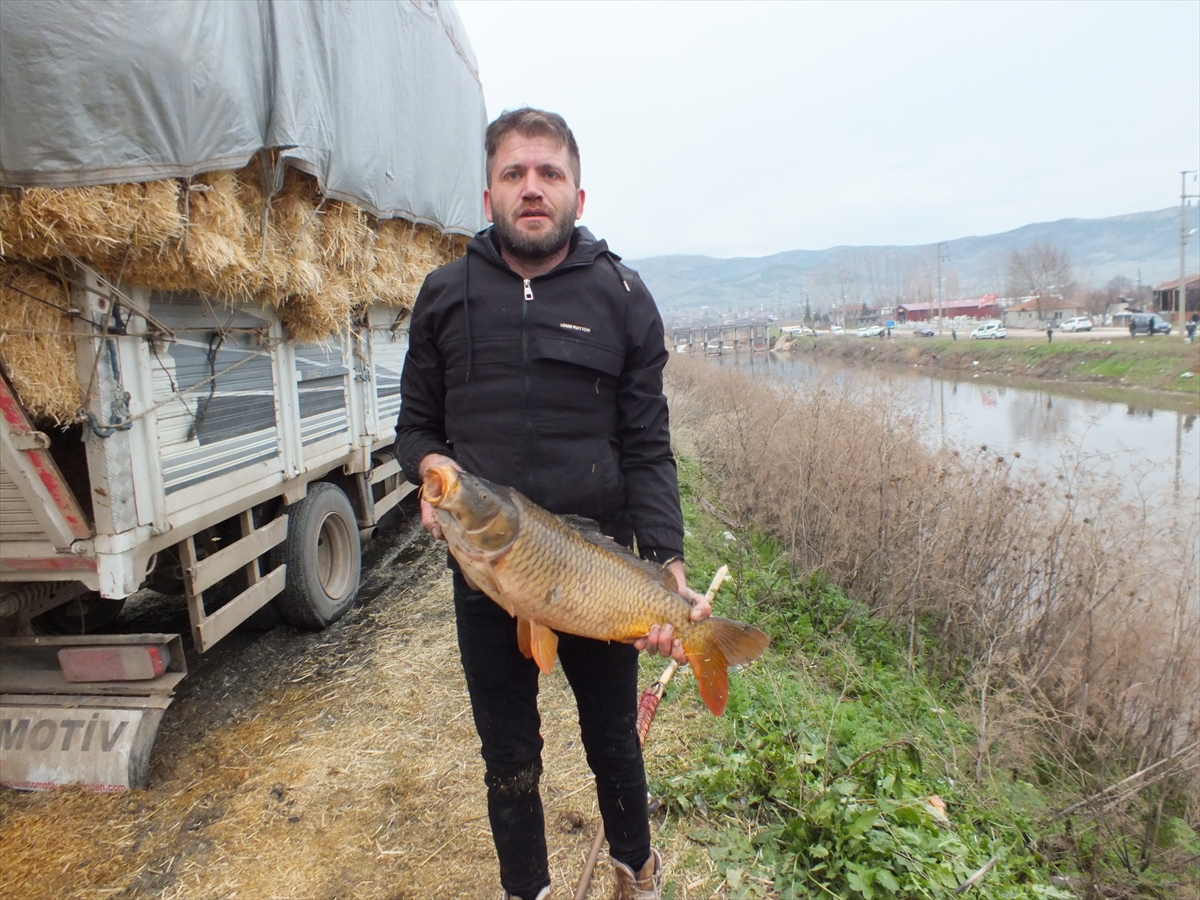 A A 20260109 40209433 40209431 T O K A T T A Y E S I L I R M A K T A C O K S A Y I D A B A L I K K I Y I Y A V U R D U