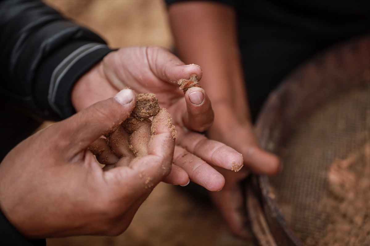 A A 20260118 40290546 40290505 G A Z Z E L I H A M A D E S I V E C O C U K L A R I N I N K E M I K L E R I N I E L E K L E A R I Y O R