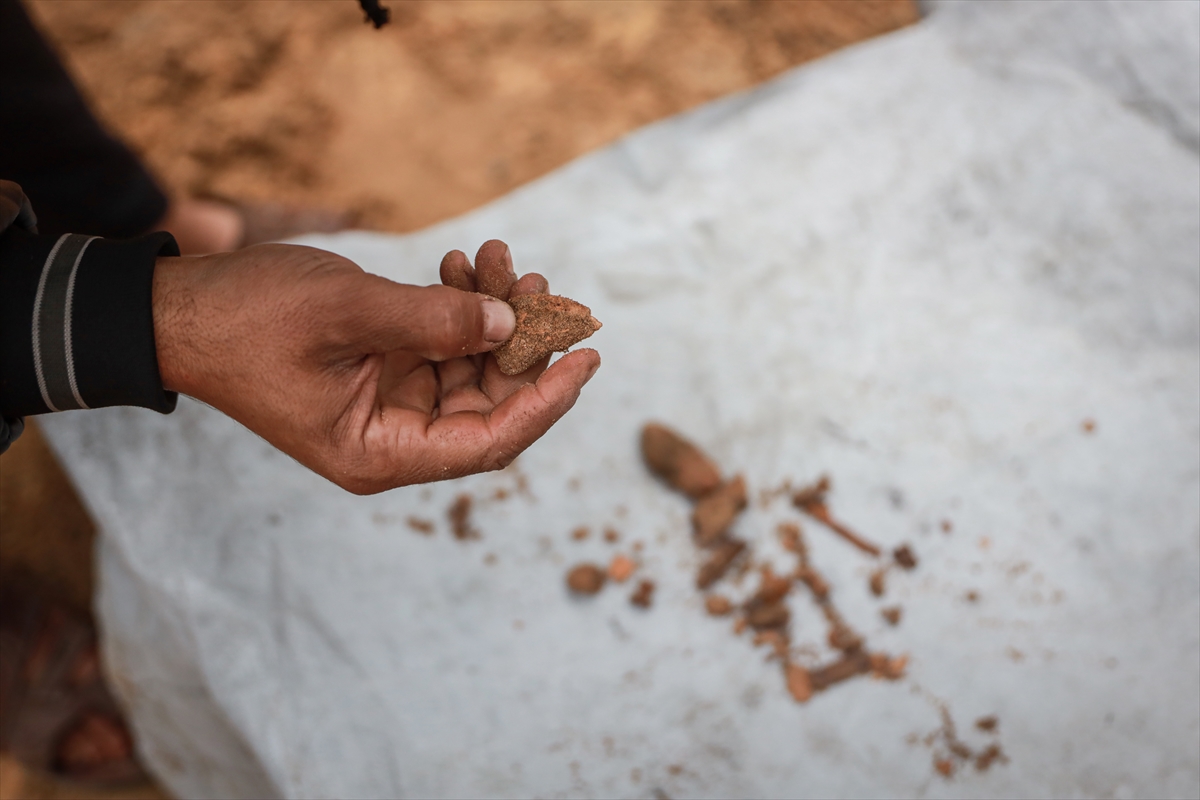 A A 20260118 40290546 40290509 G A Z Z E L I H A M A D E S I V E C O C U K L A R I N I N K E M I K L E R I N I E L E K L E A R I Y O R