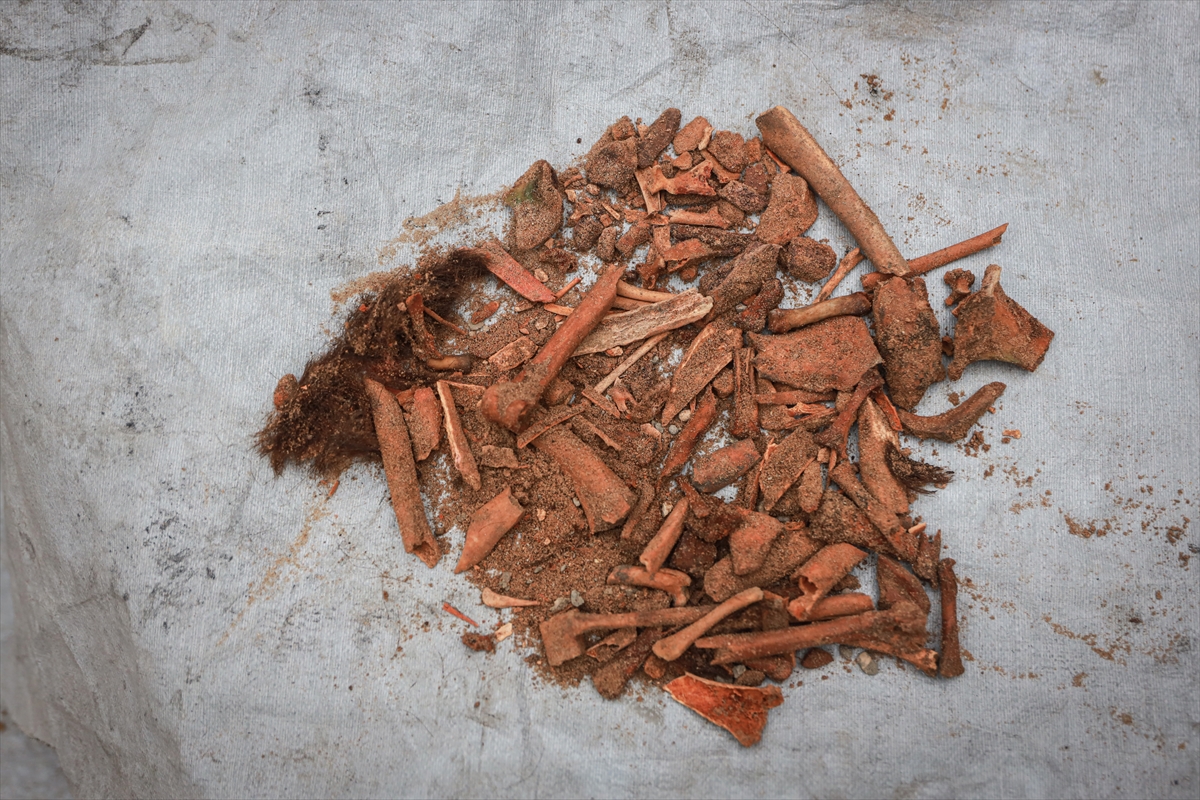 A A 20260118 40290546 40290515 G A Z Z E L I H A M A D E S I V E C O C U K L A R I N I N K E M I K L E R I N I E L E K L E A R I Y O R