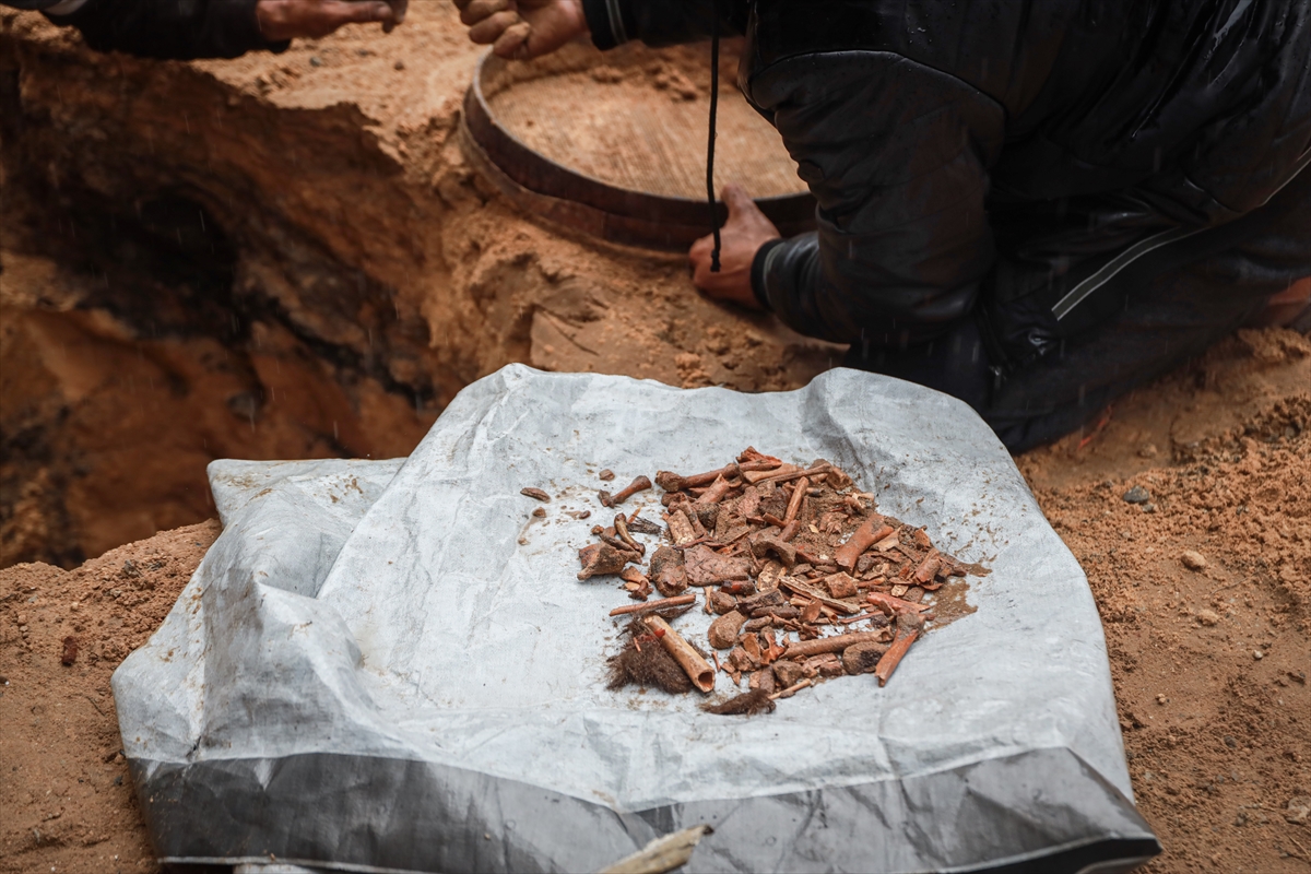 A A 20260118 40290546 40290530 G A Z Z E L I H A M A D E S I V E C O C U K L A R I N I N K E M I K L E R I N I E L E K L E A R I Y O R