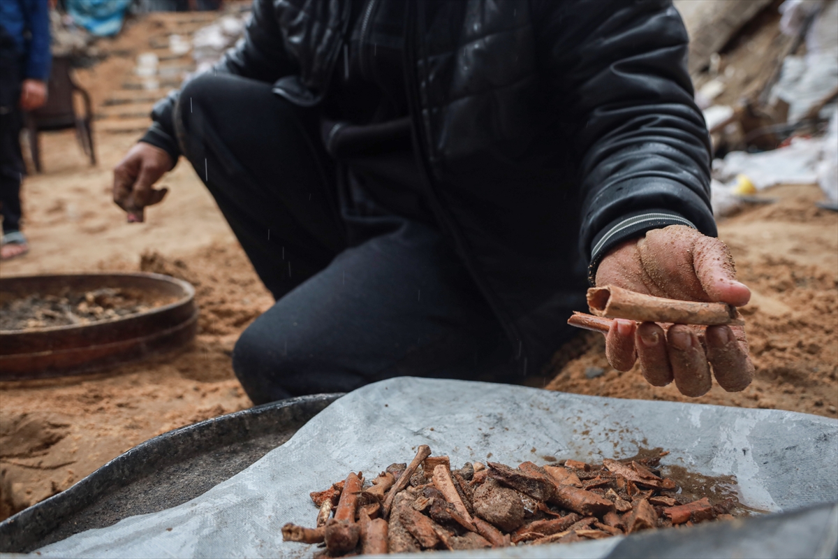 A A 20260118 40290546 40290532 G A Z Z E L I H A M A D E S I V E C O C U K L A R I N I N K E M I K L E R I N I E L E K L E A R I Y O R