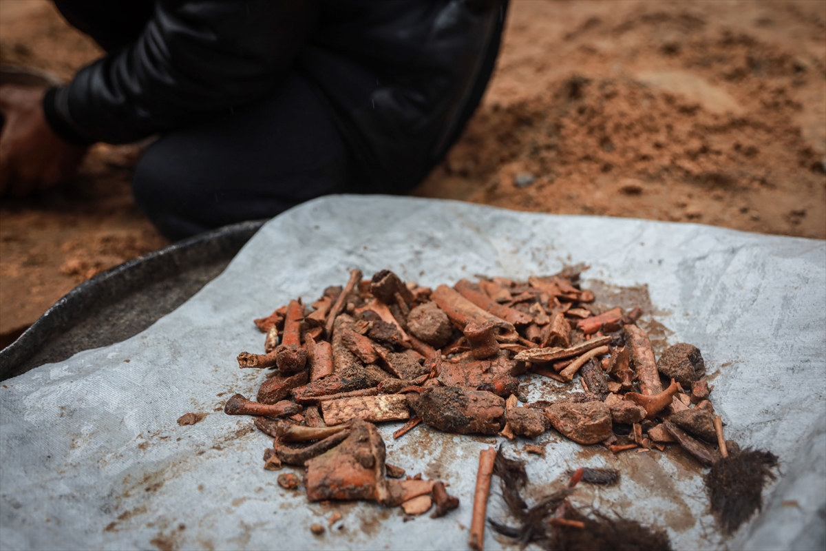 A A 20260118 40290546 40290533 G A Z Z E L I H A M A D E S I V E C O C U K L A R I N I N K E M I K L E R I N I E L E K L E A R I Y O R