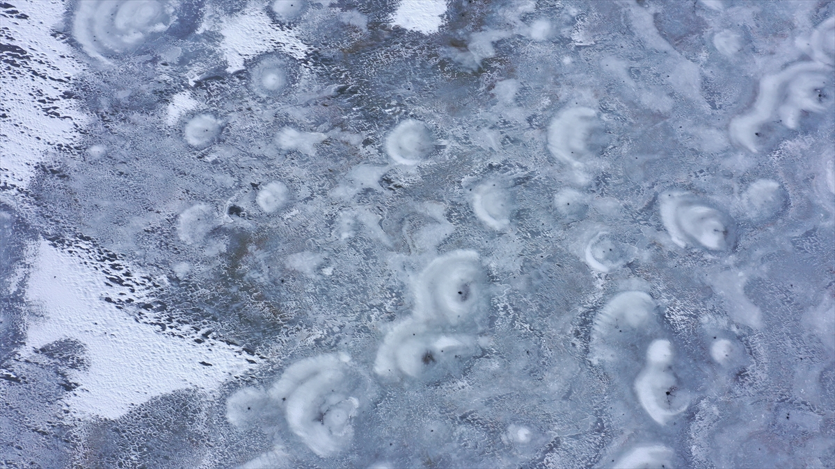 A A 20260121 40323511 40323501 E L A Z I G D A C I P B A R A J I S O G U K H A V A N I N E T K I S I Y L E D O N D U