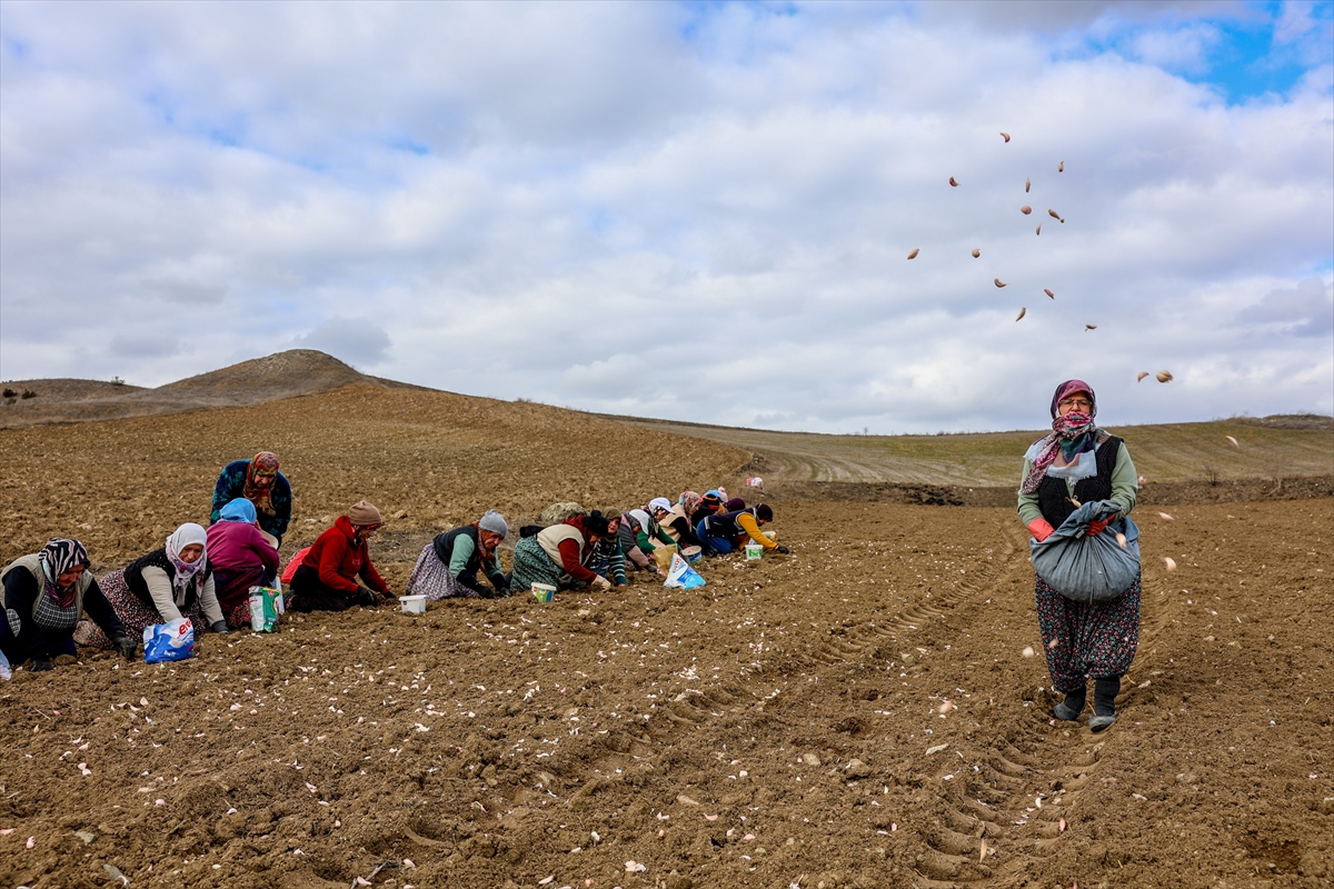 A A 20260128 40392491 40392480 K A S T A M O N U D A A V R U P A C O G R A F I I S A R E T L I T A S K O P R U S A R I M S A G I N I N D I K I M I N E B A S L A N D I