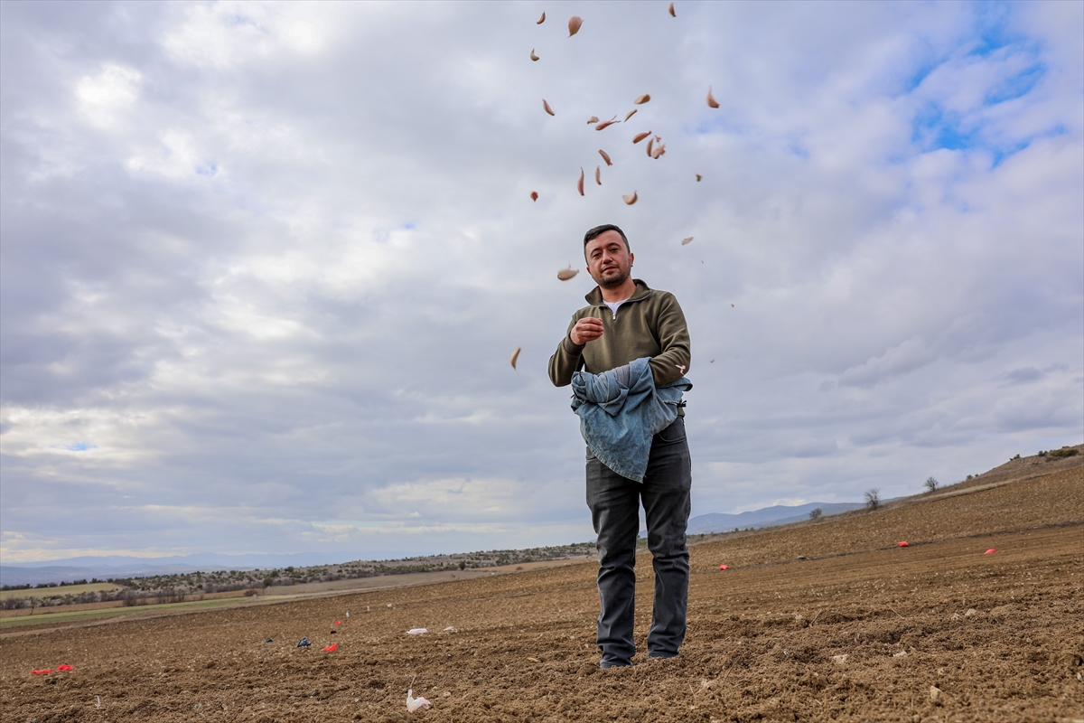 A A 20260128 40392491 40392484 K A S T A M O N U D A A V R U P A C O G R A F I I S A R E T L I T A S K O P R U S A R I M S A G I N I N D I K I M I N E B A S L A N D I