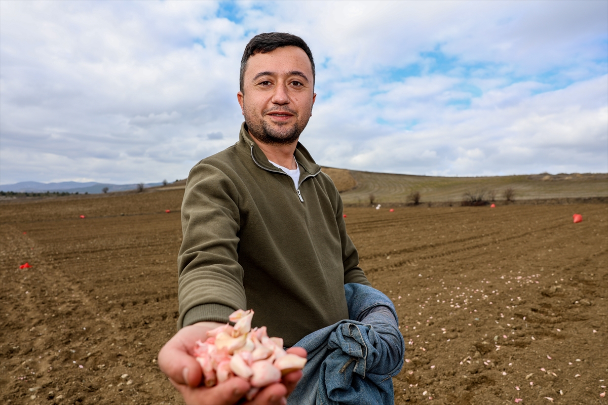 A A 20260128 40392491 40392485 K A S T A M O N U D A A V R U P A C O G R A F I I S A R E T L I T A S K O P R U S A R I M S A G I N I N D I K I M I N E B A S L A N D I