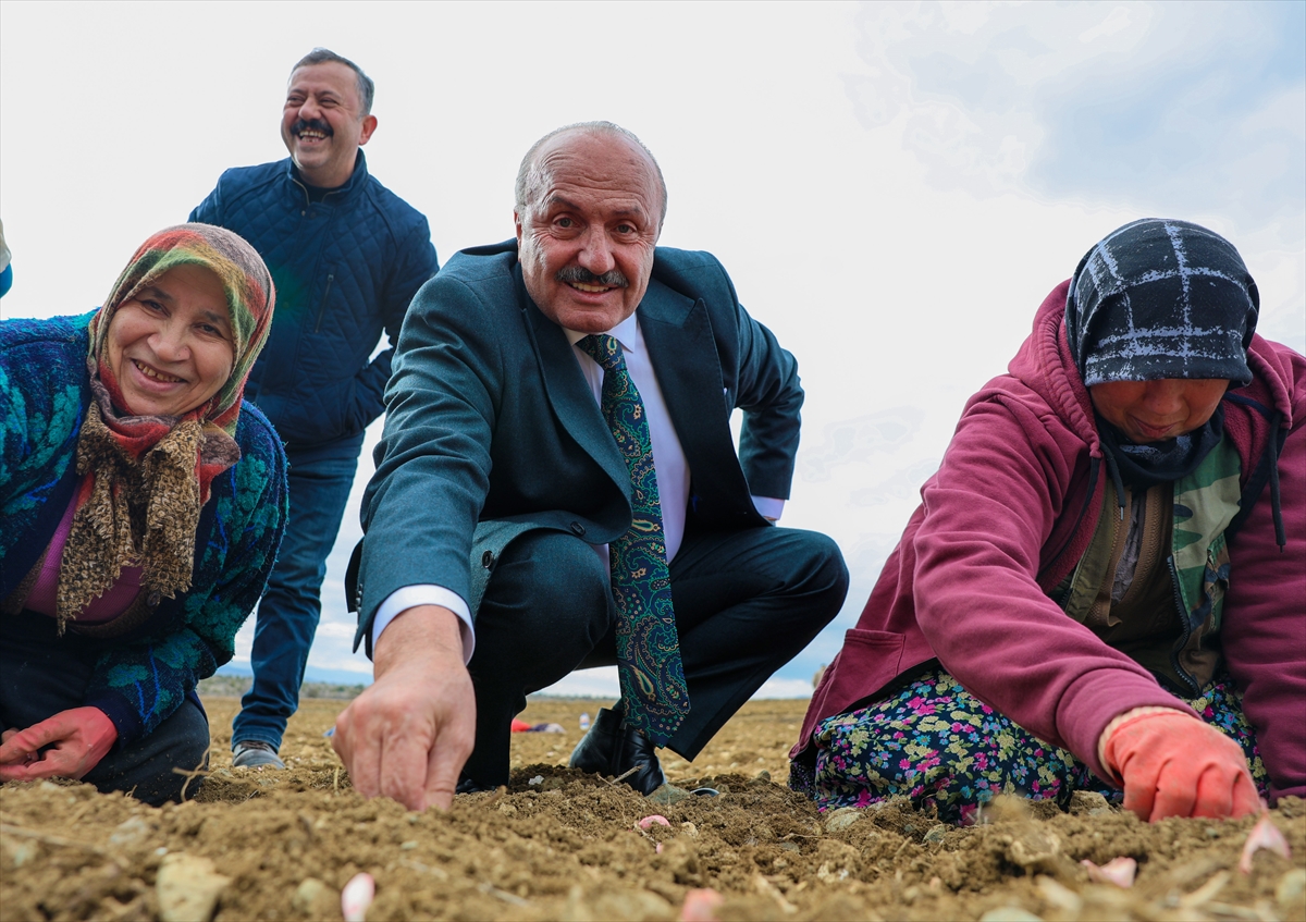 A A 20260128 40392491 40392487 K A S T A M O N U D A A V R U P A C O G R A F I I S A R E T L I T A S K O P R U S A R I M S A G I N I N D I K I M I N E B A S L A N D I