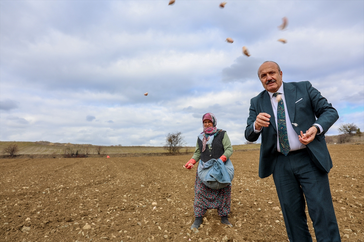 A A 20260128 40392491 40392488 K A S T A M O N U D A A V R U P A C O G R A F I I S A R E T L I T A S K O P R U S A R I M S A G I N I N D I K I M I N E B A S L A N D I