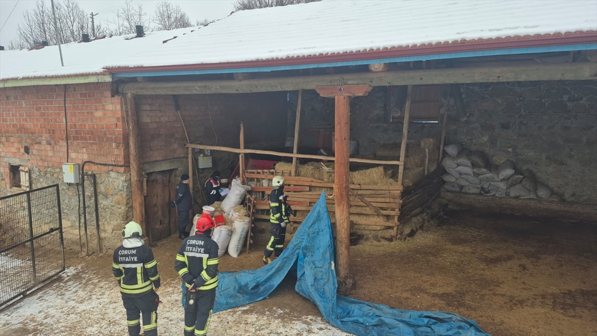 Aa 20260123 40341404 40341403 Corumda Yem Kirma Makinesine Dusen Kisi Hayatini Kaybetti (1)