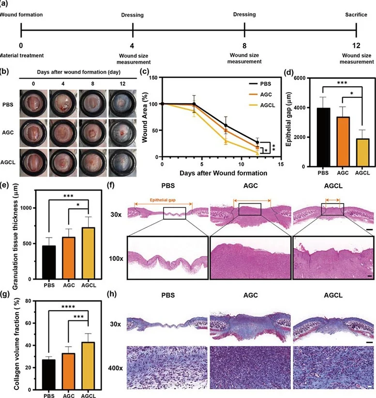 Animal Wound And Liver Surgery Efficacy Panels
