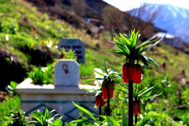 Cenaze Namazı Kısaca Nasıl Kılınır, Ayakkabıyla Abdestsiz Kılınır Mı Hanefiler Ve Şafiiler22