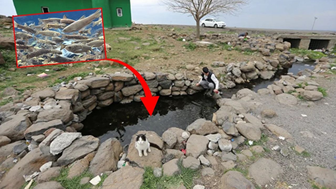 Diyarbakır Mardin ve Şanlıurfa'nın kesiştiği yerde ortaya çıktı! Türkiye'de benzeri yok