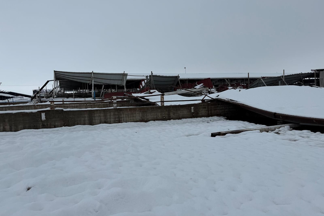 E088B0E2 9572 4173 B8C0 5813F1940Ee2