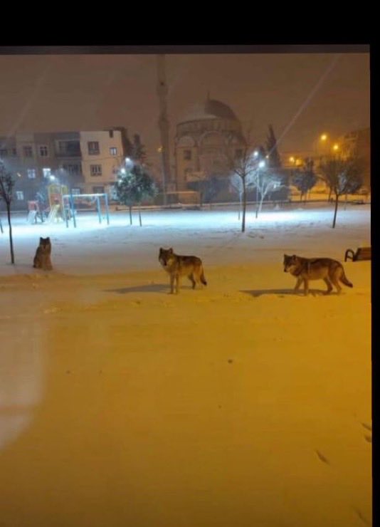 G9Hla6A X I A Ag Ew S