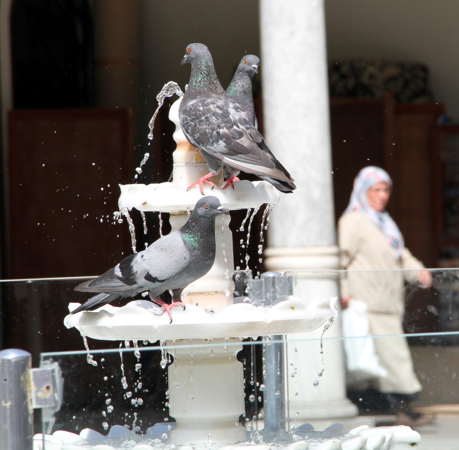 Gusül Abdesti Nasıl Alınır Hanefilere Ve Şafiilere Göre Ayrı Ayrı (10)