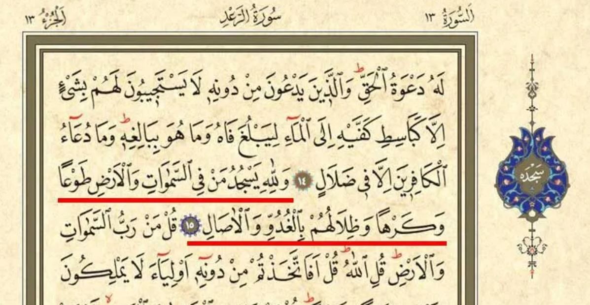 Hanefiler Ve Şafiilere Göre “Tilavet Secdesi” Nasıl Yapılır5