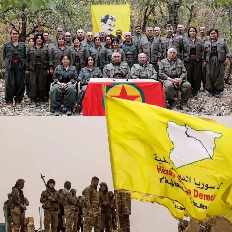 İflasın Anatomisi: Neden Çöktüler?