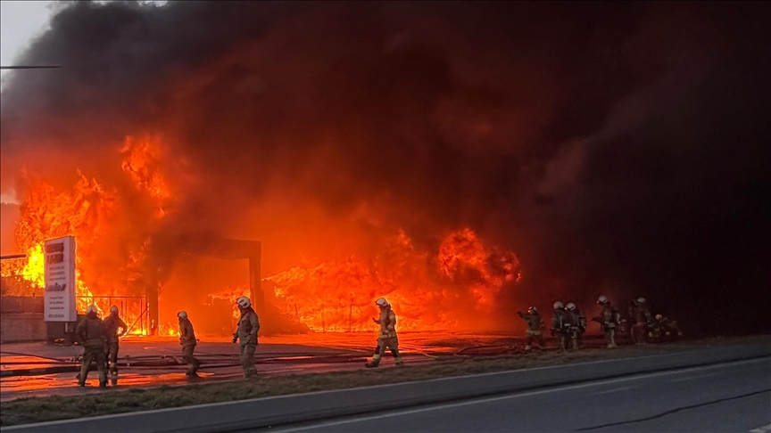 Thumbs B C 75F140Fbb80A6Aae0D72A4542Cd932F6