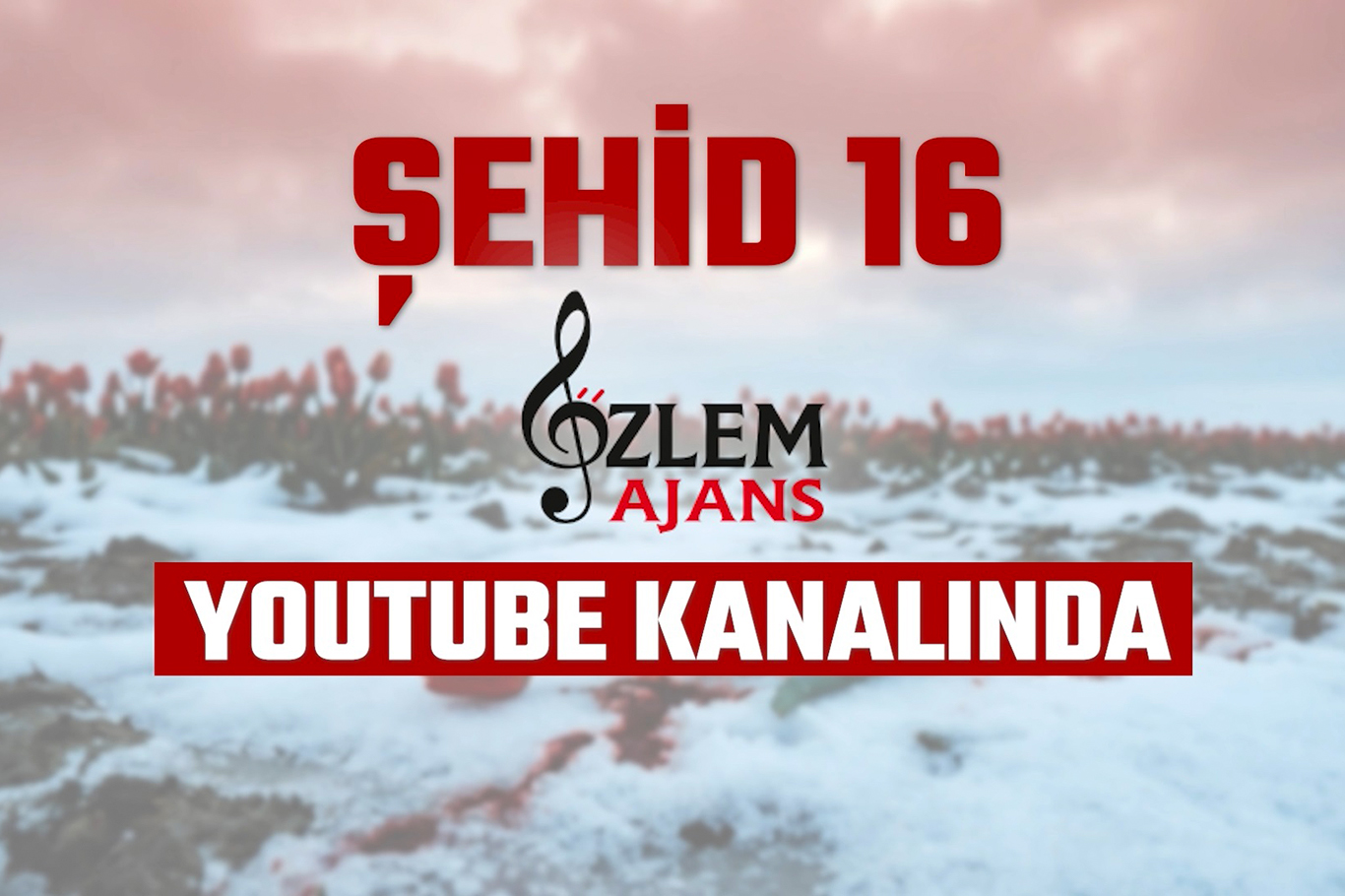 38A8B0D3 803B 4D6B B554 B1439D279Ae3