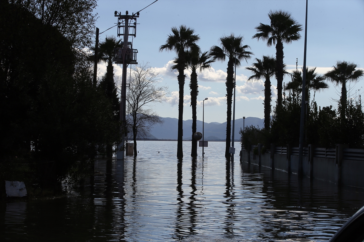 A A 20260214 40555375 40555367 K O Y C E G I Z G O L U N U N T A S M A S I N E D E N I Y L E K A N O L A R L A S O K A K A R A L A R I N D A G E Z D I L E R