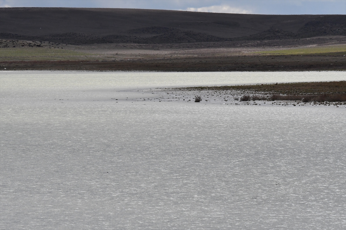 A A 20260216 40566567 40566565 K O N Y A D A K I K U C U K G O L 4 Y I L A R A D A N S O N R A S U T U T M A Y A B A S L A D I