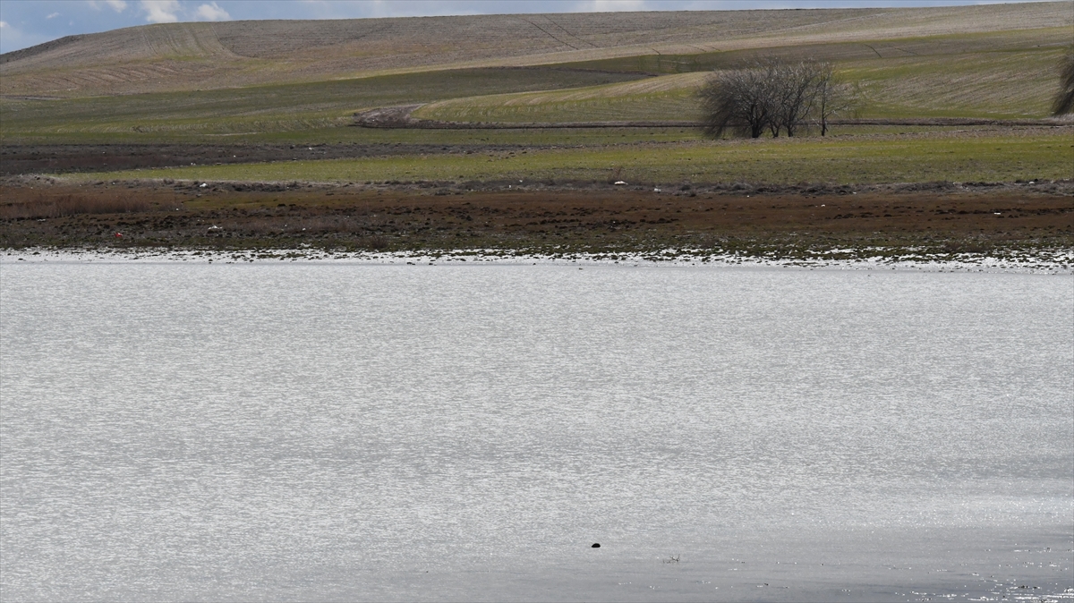 A A 20260216 40566567 40566566 K O N Y A D A K I K U C U K G O L 4 Y I L A R A D A N S O N R A S U T U T M A Y A B A S L A D I