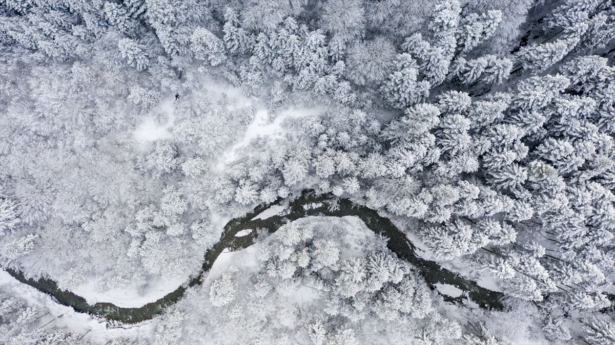 A A 20260226 40670919 40670916 B O L U N U N Y U K S E K K E S I M L E R I N D E K A R E T K I L I O L D U