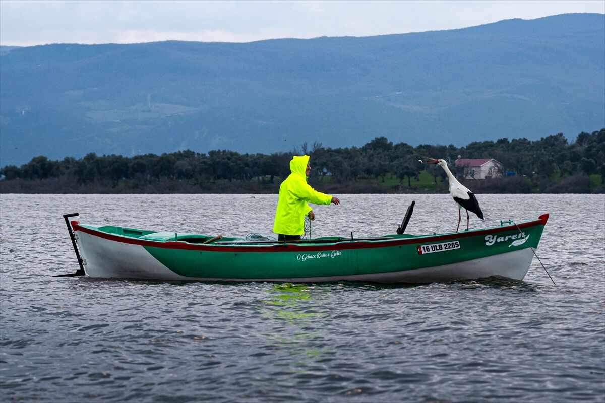 A A 20260227 40680083 40680061 Y A R E N L E Y L E K 15 Y I L D A D A G O C U P G E L D I