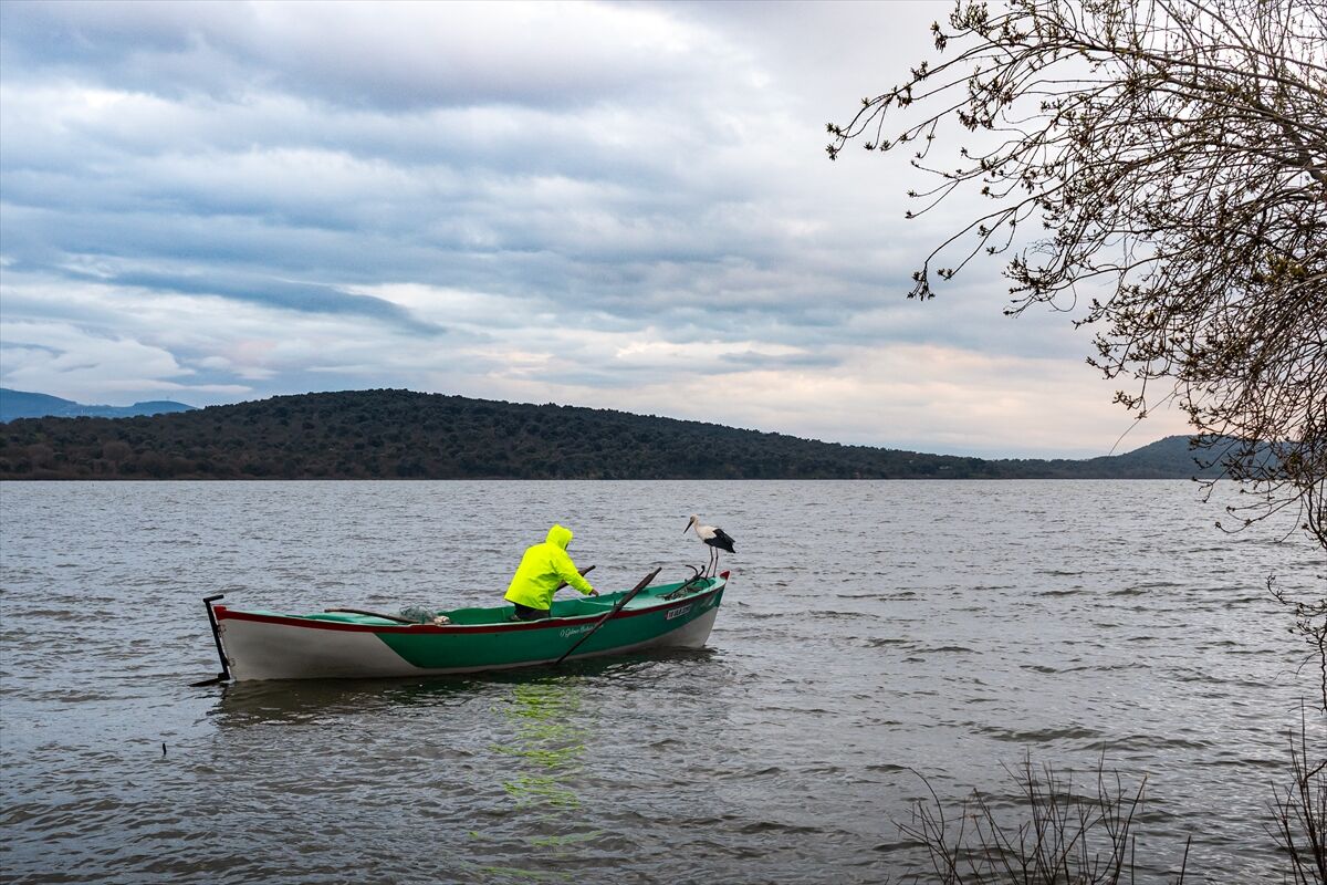 A A 20260227 40680083 40680065 Y A R E N L E Y L E K 15 Y I L D A D A G O C U P G E L D I