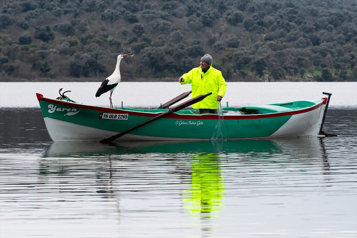 A A 20260227 40680083 40680074 Y A R E N L E Y L E K 15 Y I L D A D A G O C U P G E L D I