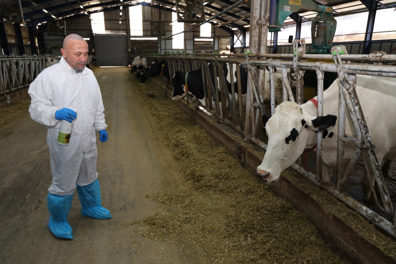 Cea2E1Cd D1E8 45Fd A94B Ffd8B43D4C74