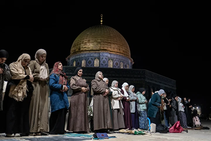 E6953A38 Df1E41D3 27B2 43A5 B5B4 64Fcaedeb7Bd