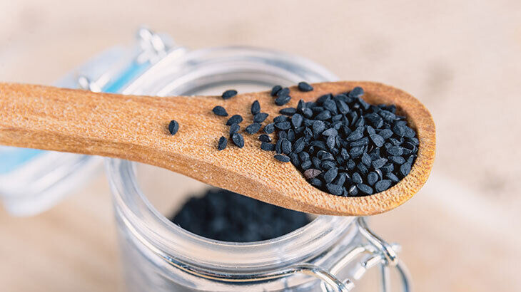 Ibn I Sinanin Bin Yillik Sifa Receteleri Bagisikligi Celik Gibi Yapan Sirkencubin Serbeti5