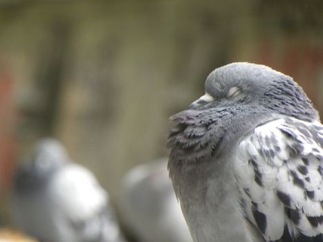 Uyumak İçin Dua! Yatmadan Önce Okunacak Dua Ve Sureler!5