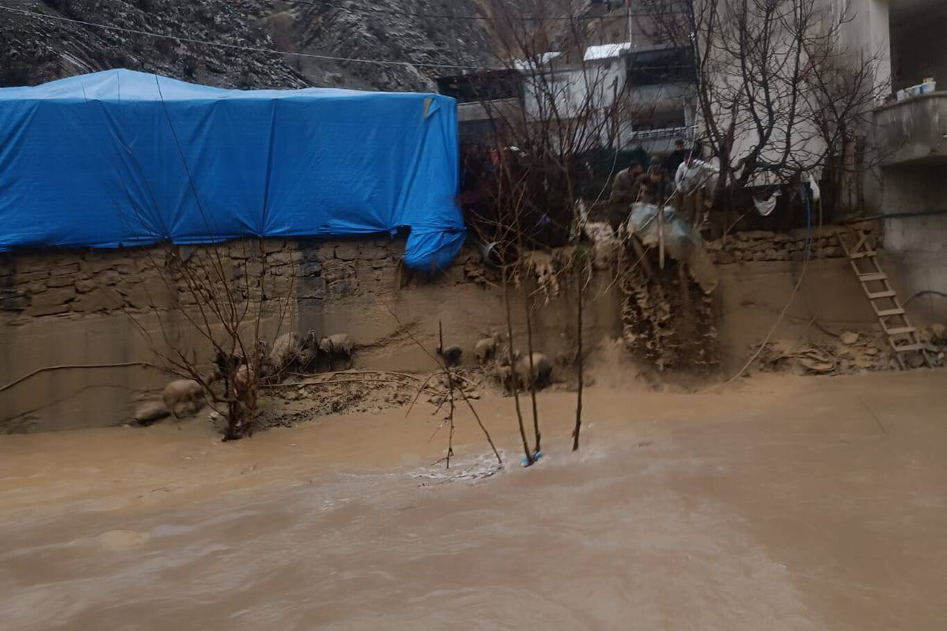 8396E366 C3F1 4B86 A4Da 3Ef60Af0Bb1A