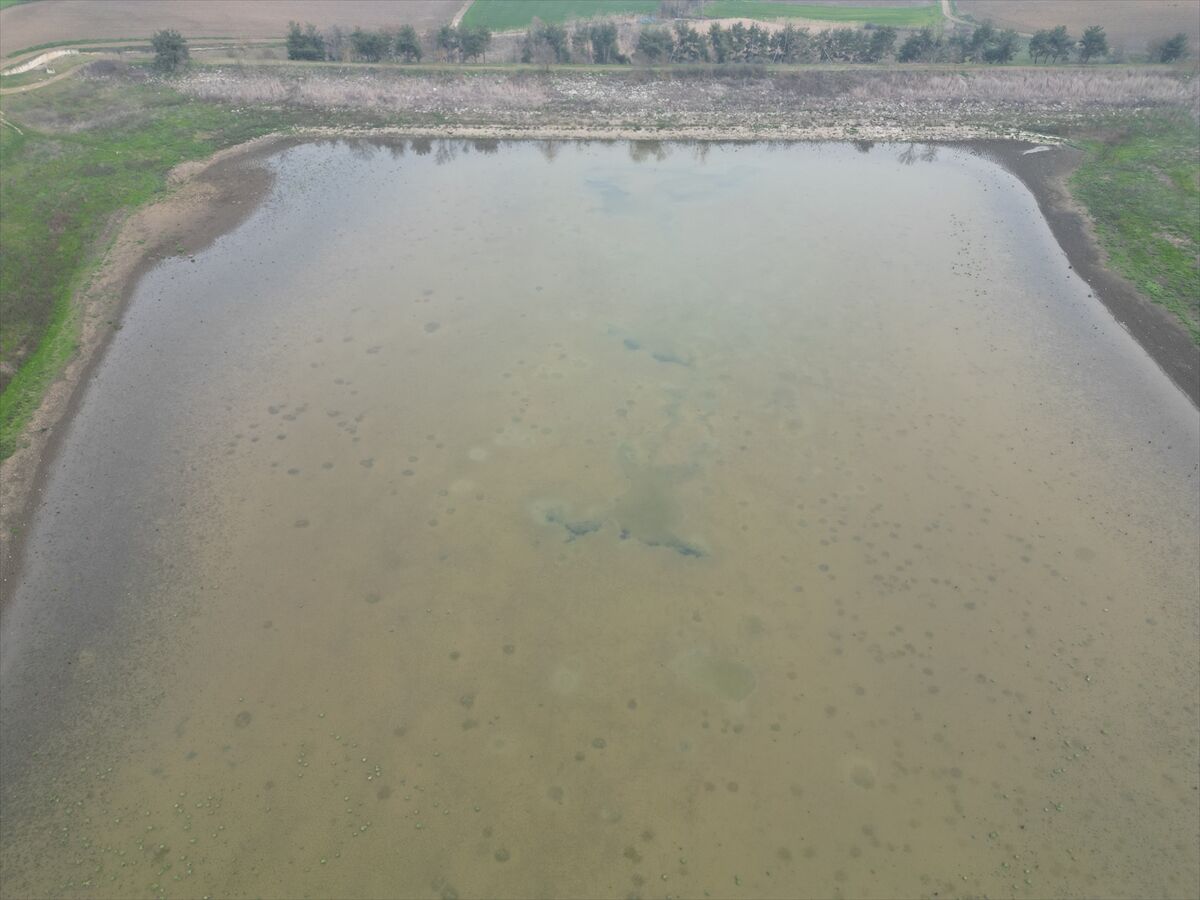 A A 20260304 40729780 40729777 T E K I R D A G D A K U R U Y A N G O L E T Y A G I S L A R L A Y E N I D E N D O L U Y O R