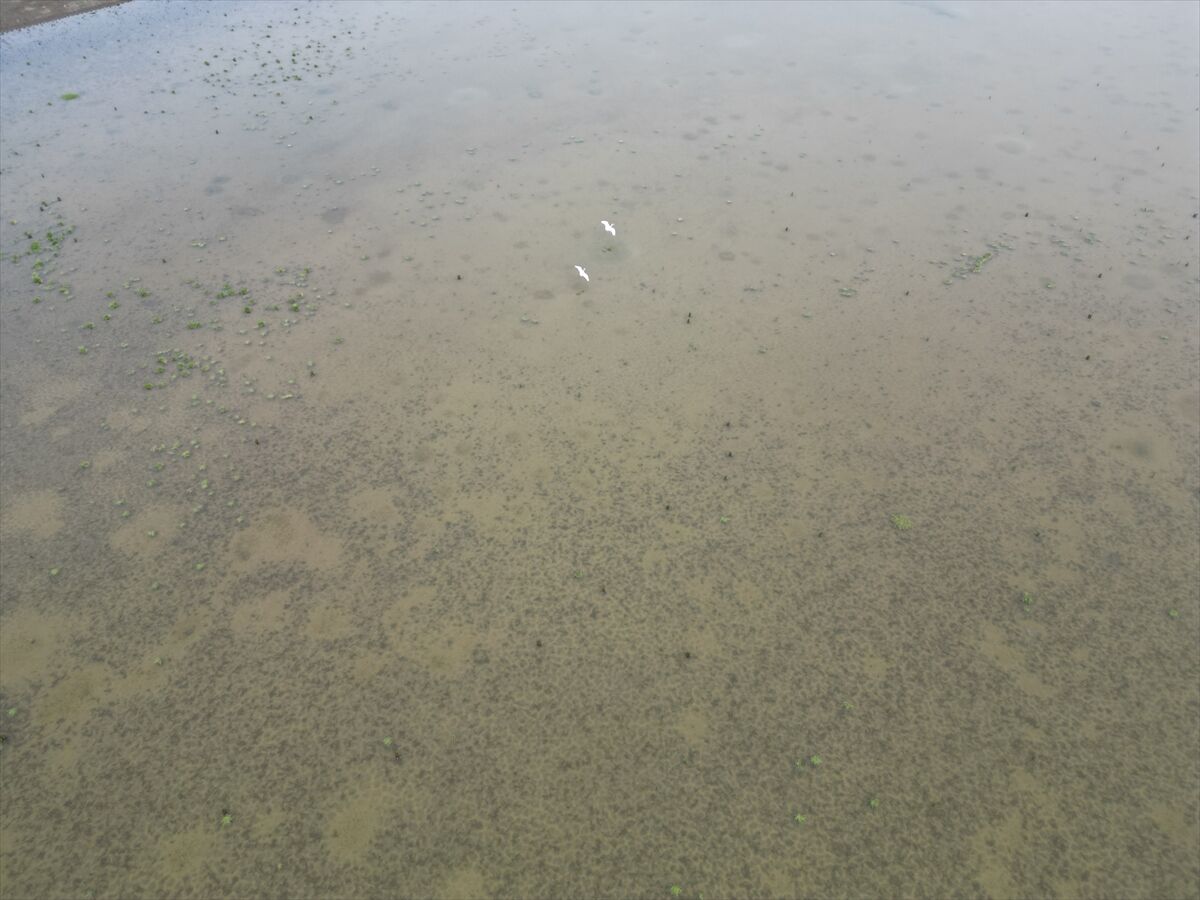 A A 20260304 40729780 40729778 T E K I R D A G D A K U R U Y A N G O L E T Y A G I S L A R L A Y E N I D E N D O L U Y O R