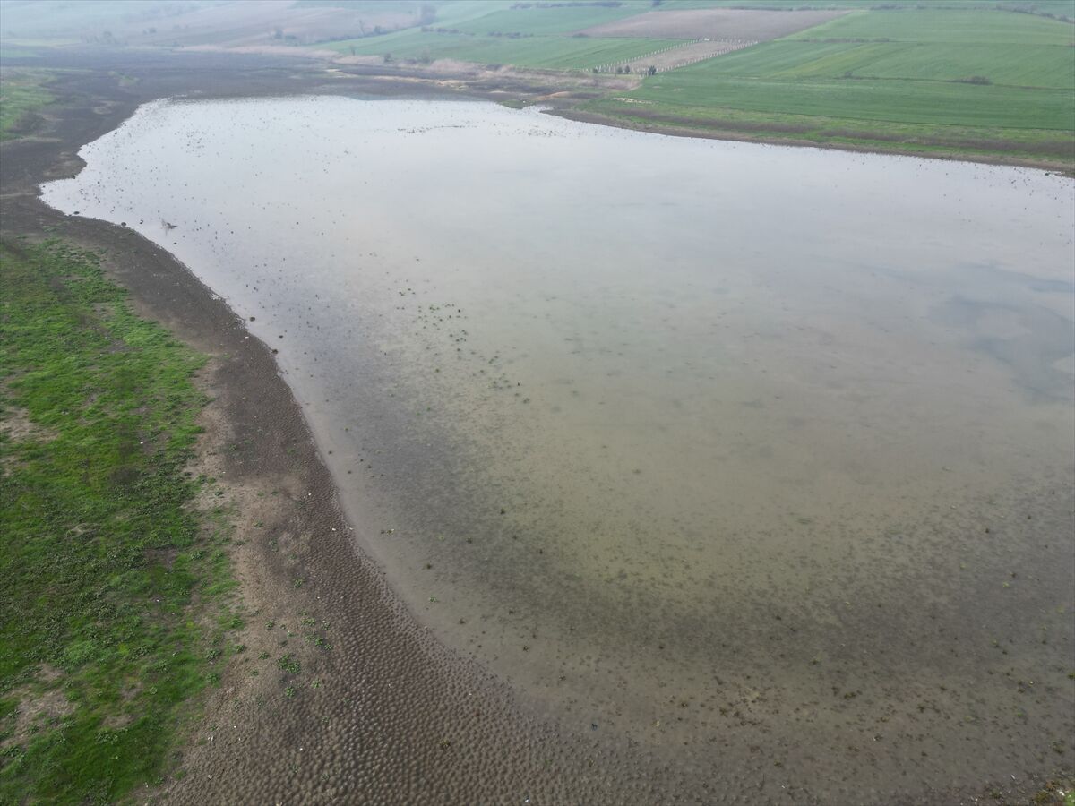 A A 20260304 40729780 40729779 T E K I R D A G D A K U R U Y A N G O L E T Y A G I S L A R L A Y E N I D E N D O L U Y O R