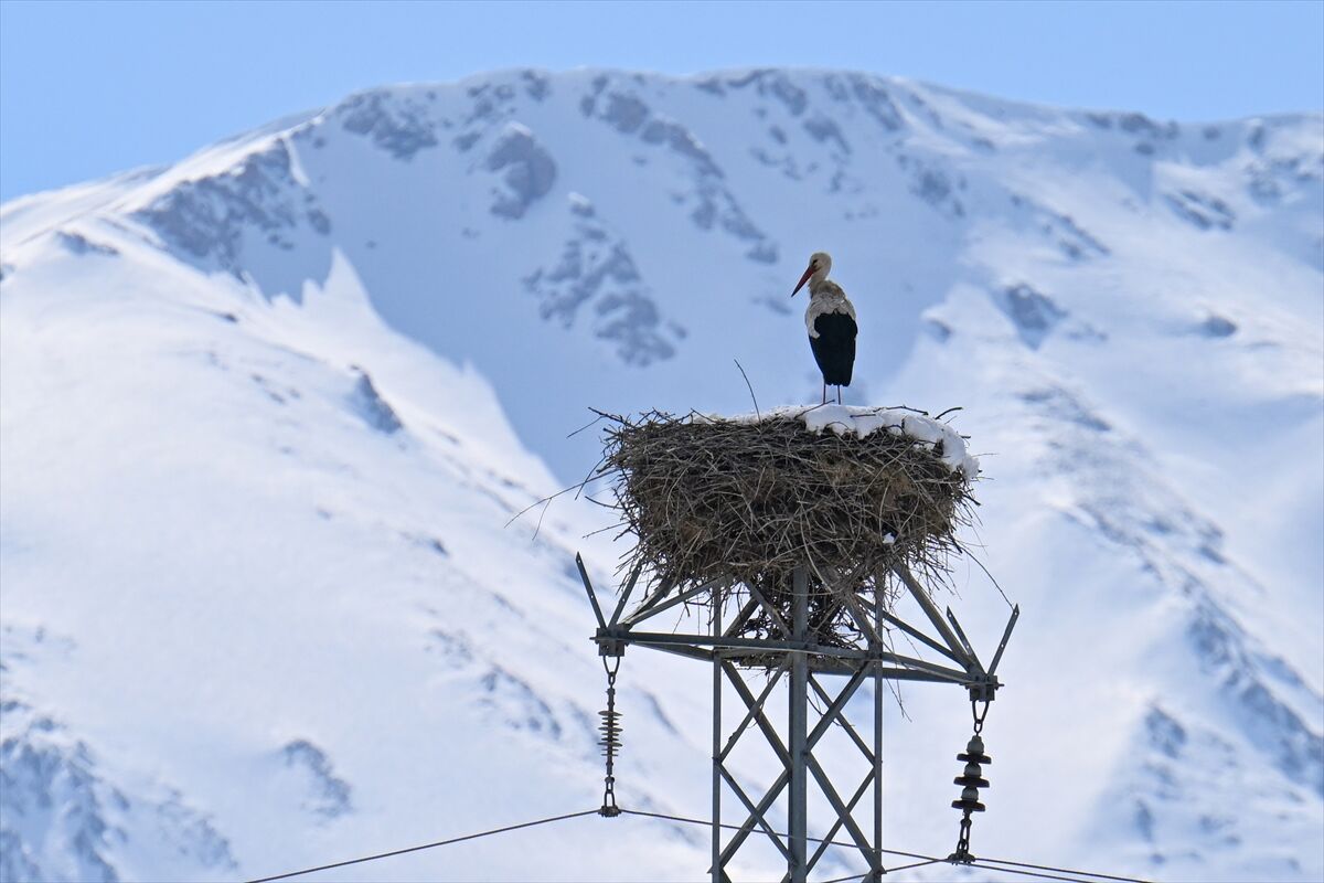 A A 20260310 40779631 40779615 B A H A R I N M U J D E C I S I L E Y L E G E K A R S U R P R I Z I